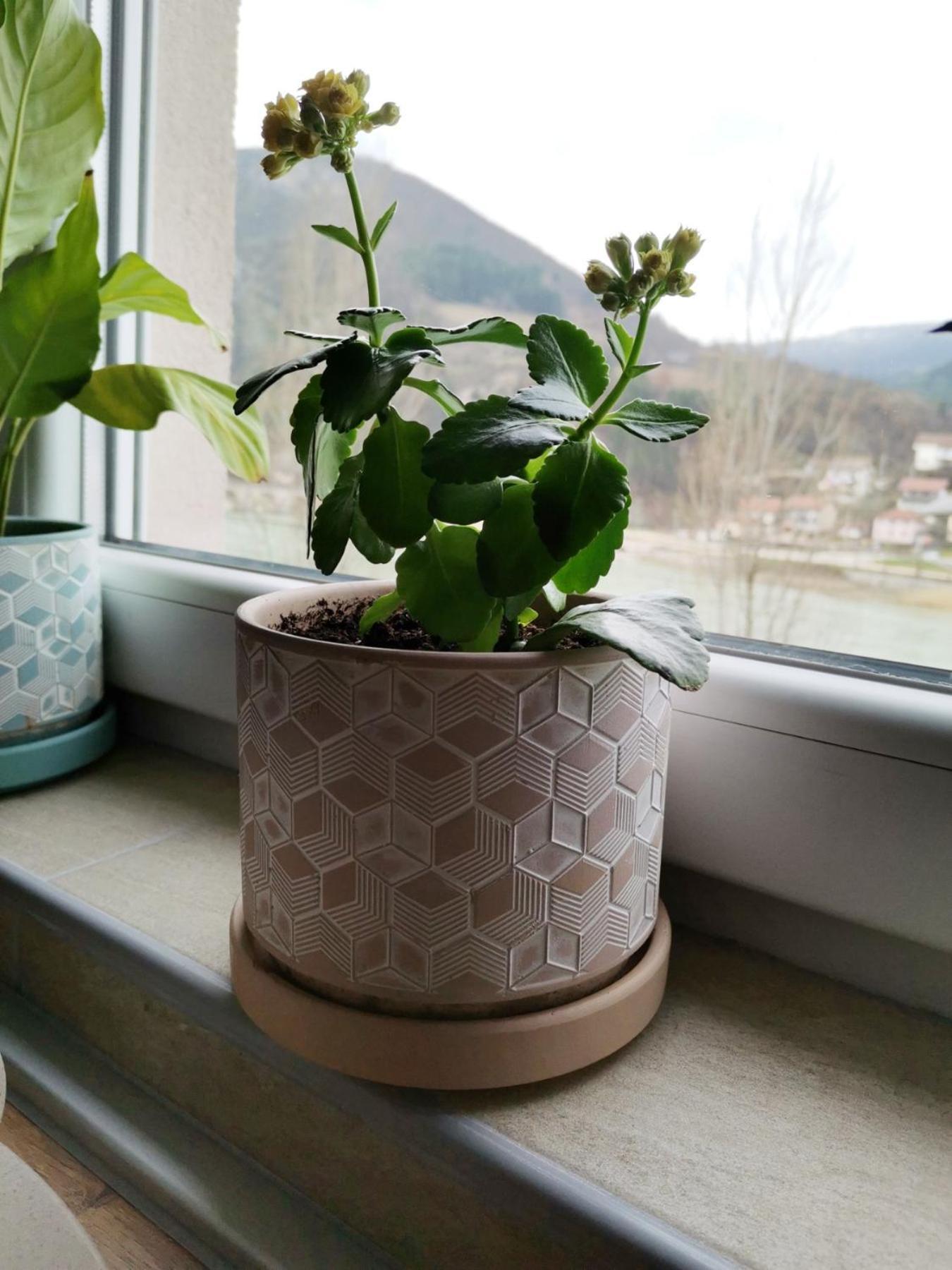 Apartment Mademoiselle Višegrad 객실 사진